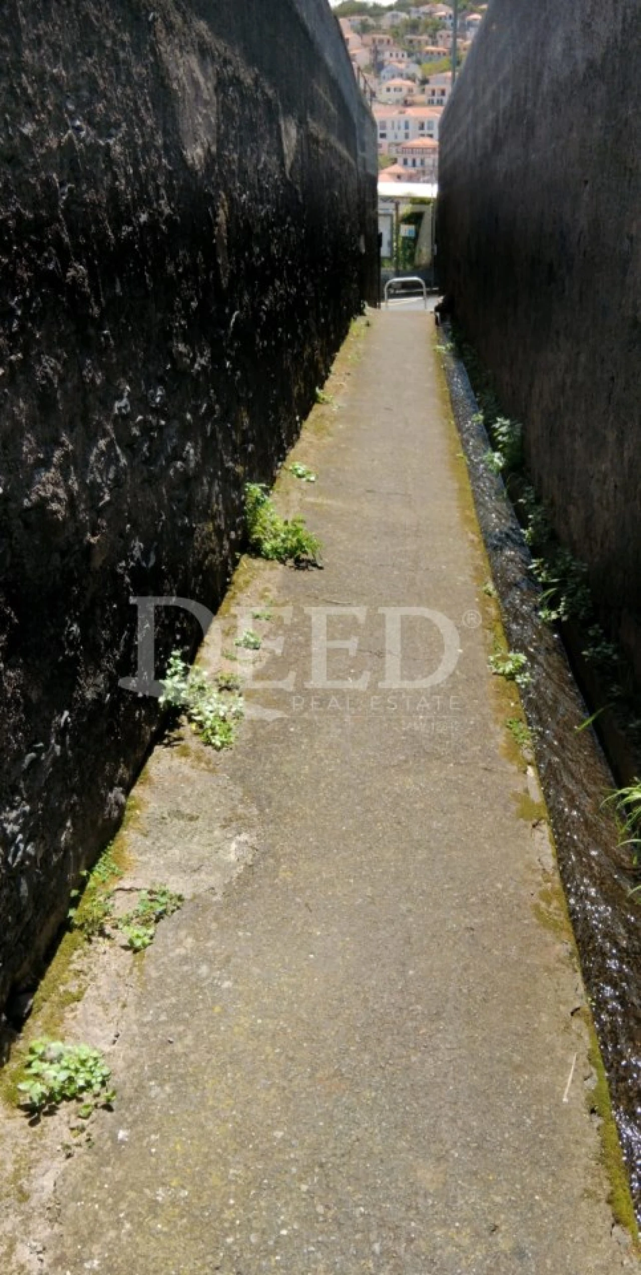 Moradia T3 para Venda em Santo Antonio Foto 18