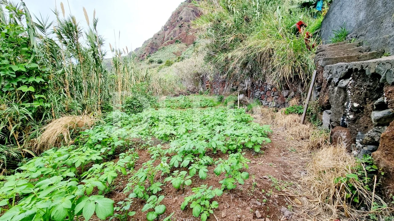 Terreno para Venda em Paul do Mar Foto 2