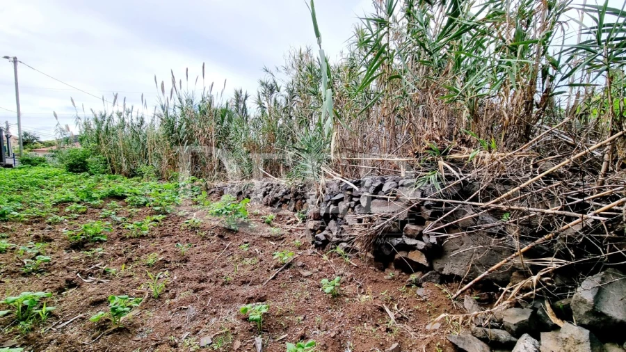 Terreno para Venda em Paul do Mar Foto 4