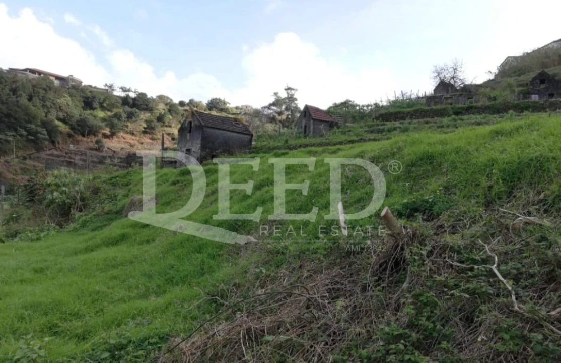 Terreno para Venda em São Vicente Foto 3