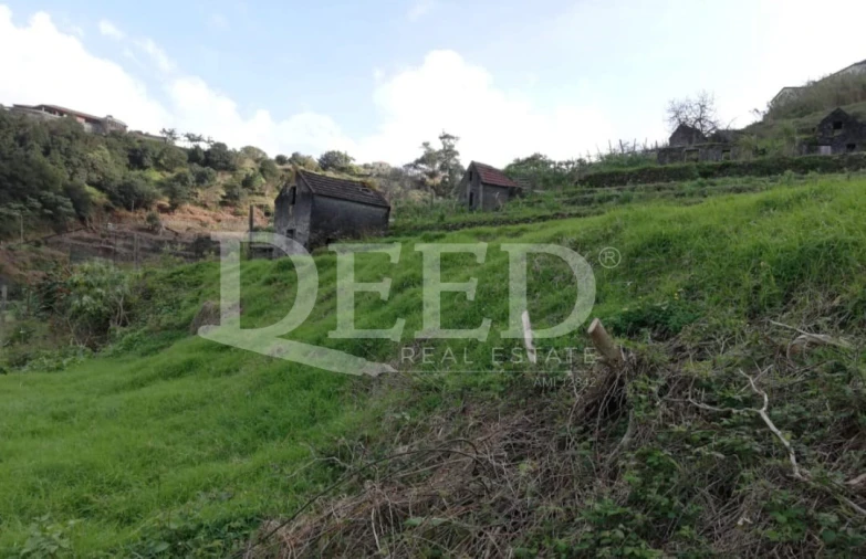 Terreno para Venda em São Vicente Foto 3