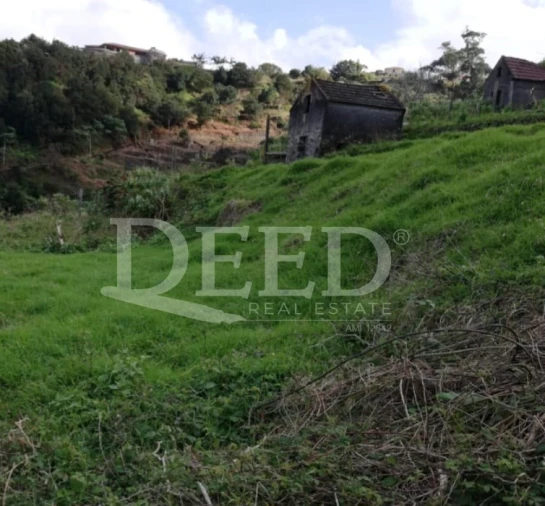 Terreno para Venda em São Vicente Foto 5