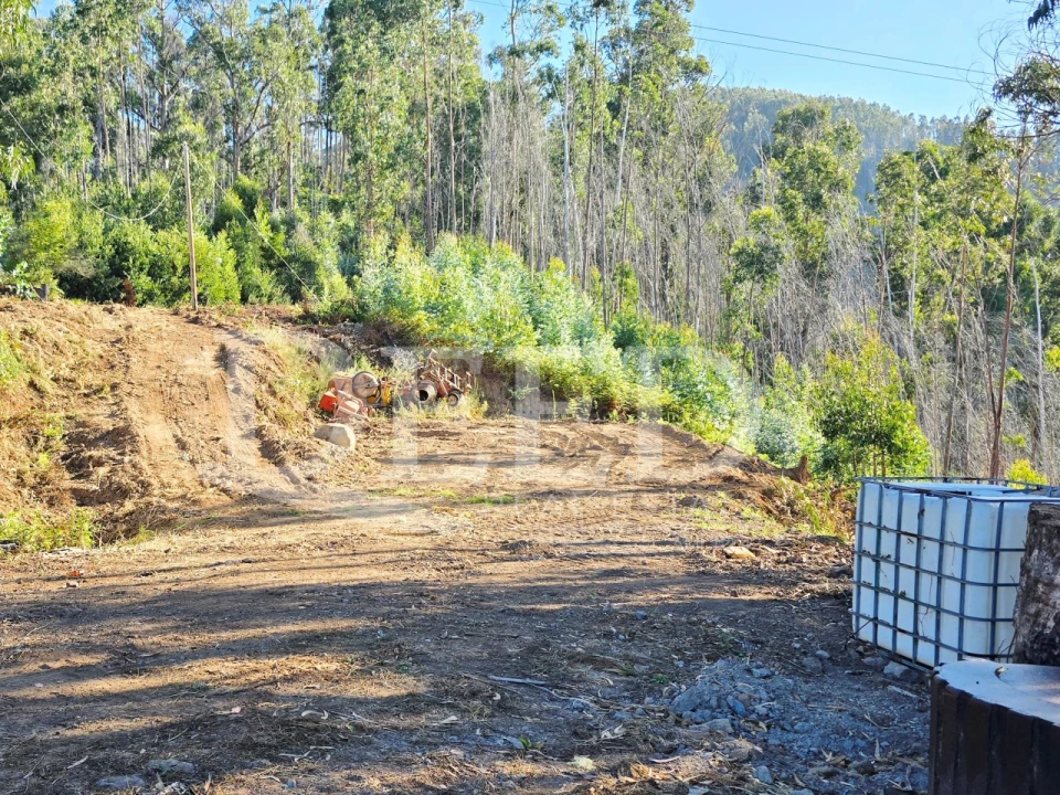Terreno Misto para Venda em Arco da Calheta Foto 15