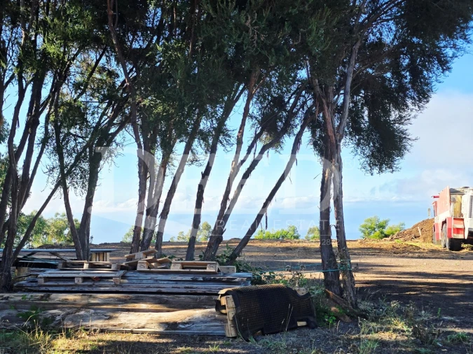 Terreno Misto para Venda em Arco da Calheta