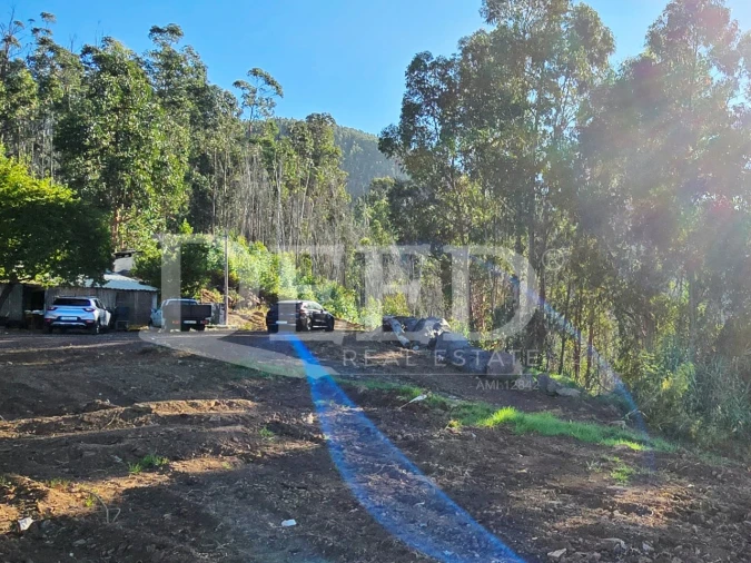Terreno Misto para Venda em Arco da Calheta Foto 6