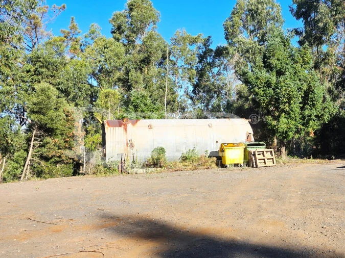Terreno Misto para Venda em Arco da Calheta Foto 14