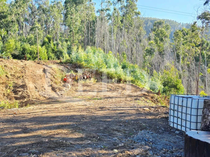 Terreno Misto para Venda em Arco da Calheta Foto 15