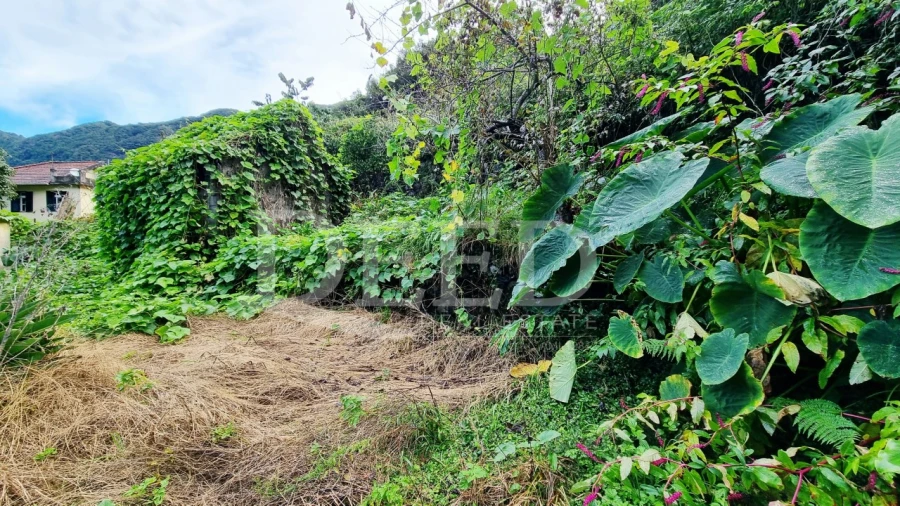 Moradia T3 para Venda em Boa Ventura Foto 5