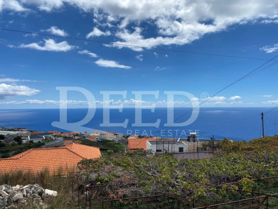 Terreno para Venda em Estreito da Calheta Foto 1