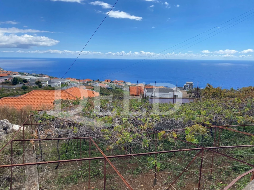Terreno para Venda em Estreito da Calheta Foto 6