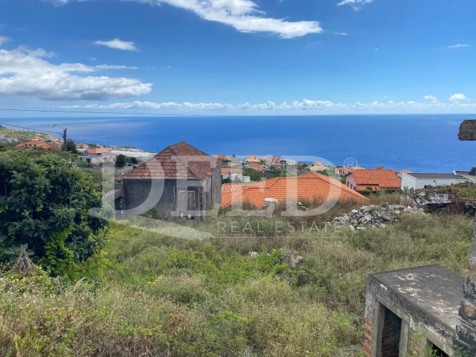 Terreno para Venda em Estreito da Calheta Foto 3