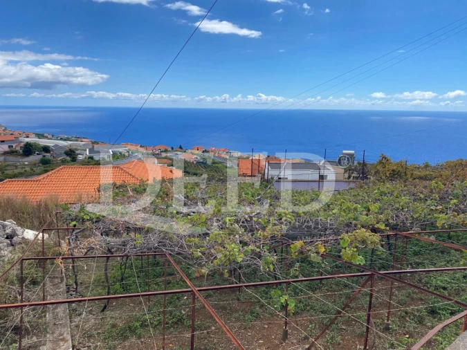 Terreno para Venda em Estreito da Calheta Foto 6