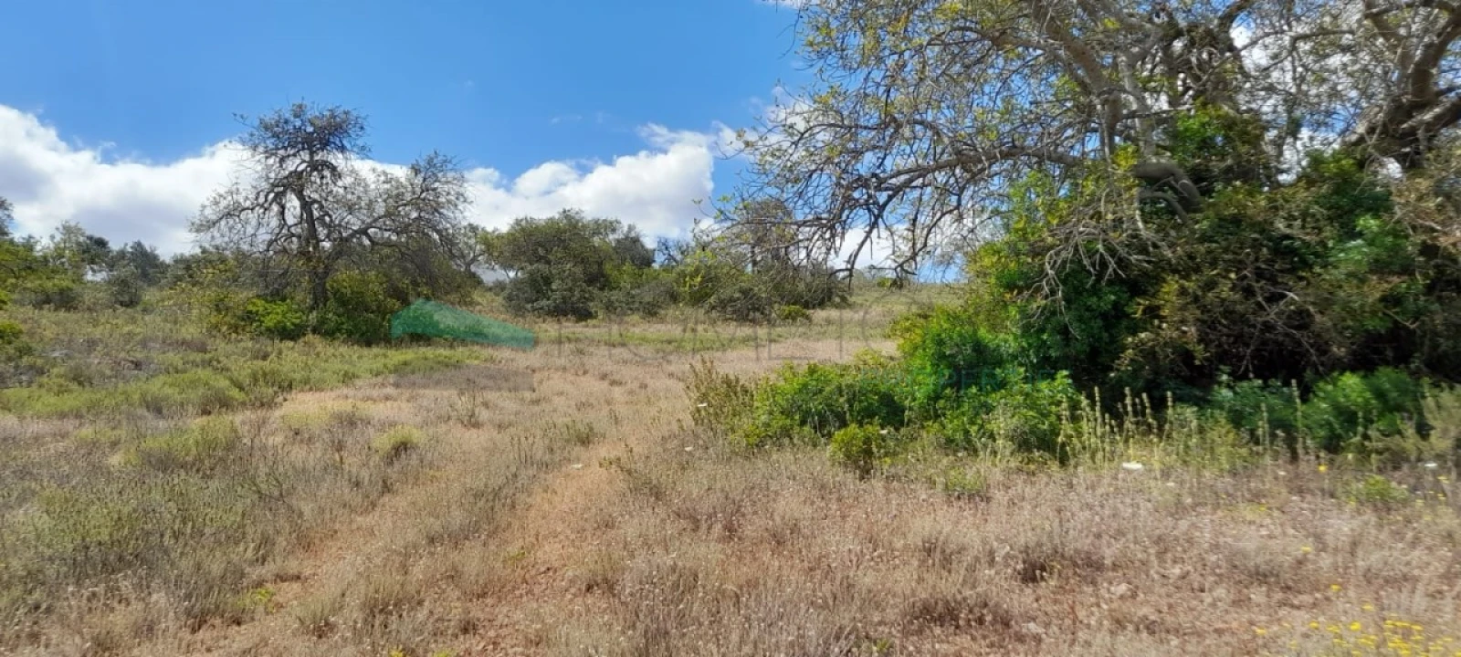 Terreno para Venda em Boliqueime Foto 4