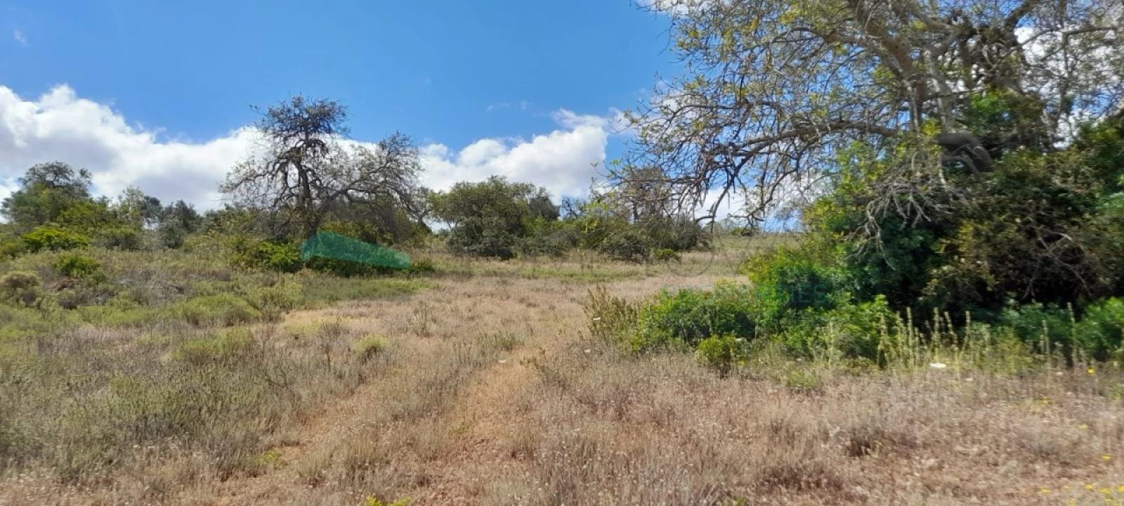 Terreno para Venda em Boliqueime Foto 6