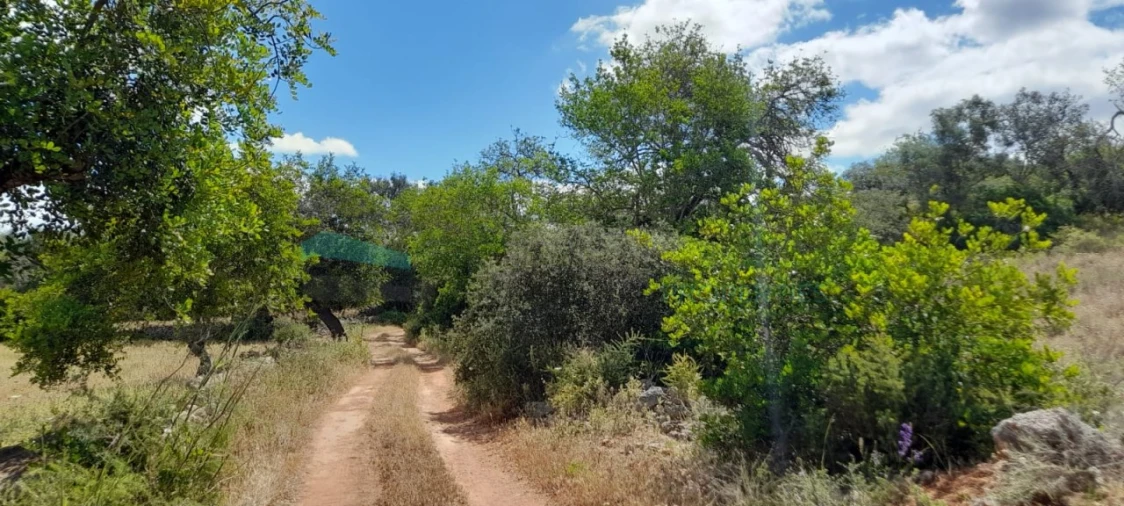 Terreno para Venda em Boliqueime Foto 5