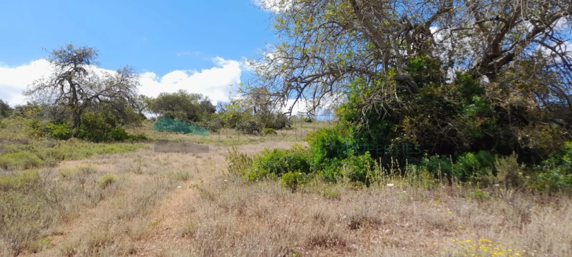 Terreno para Venda em Boliqueime Foto 10