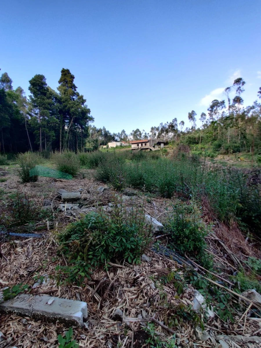 Terreno para Venda em Grijó e Sermonde Foto 8