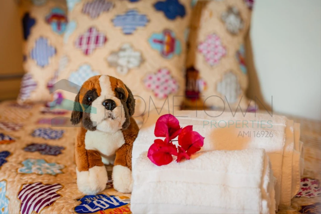 Negócio para Venda em Guia Foto 12