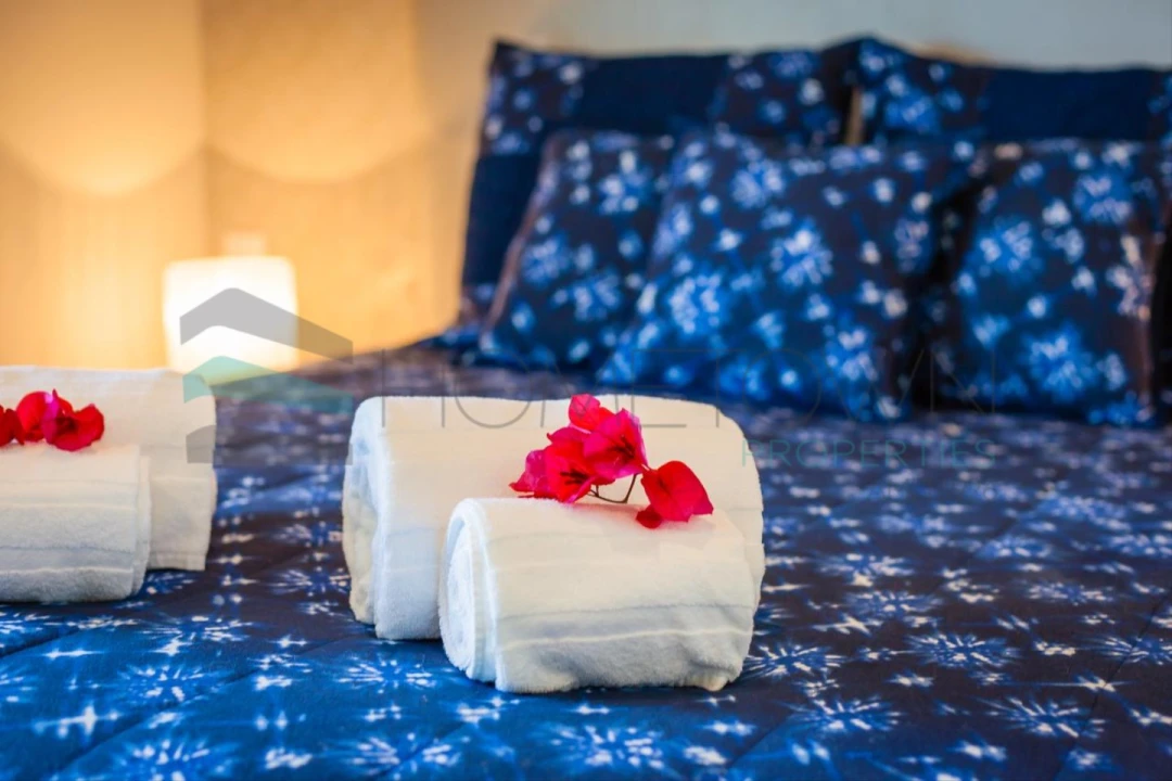 Negócio para Venda em Guia Foto 13