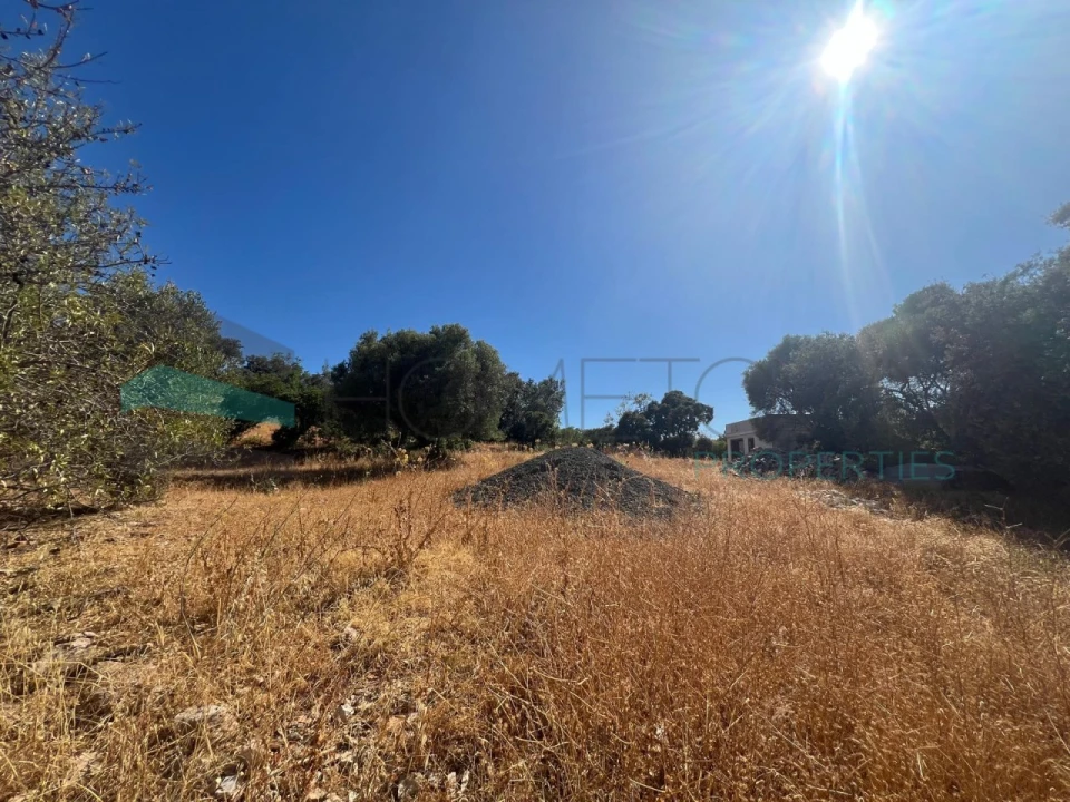 Terreno para Venda em Loule (São Clemente) Foto 5