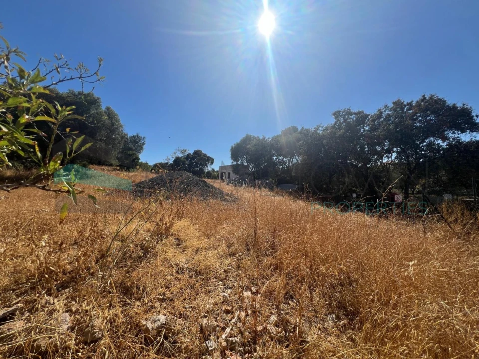 Terreno para Venda em Loule (São Clemente) Foto 4