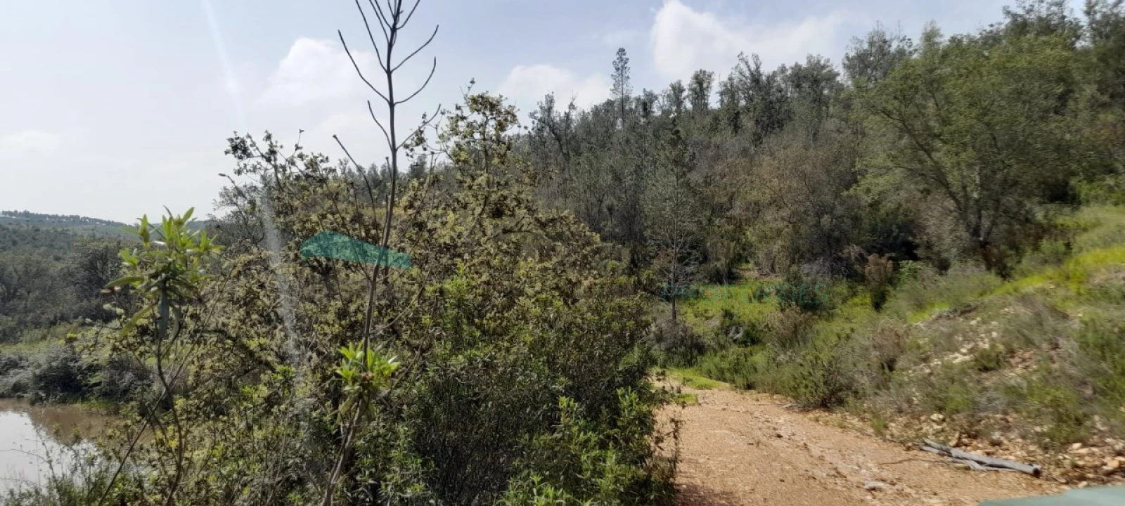 Terreno para Venda em Saboia Foto 2