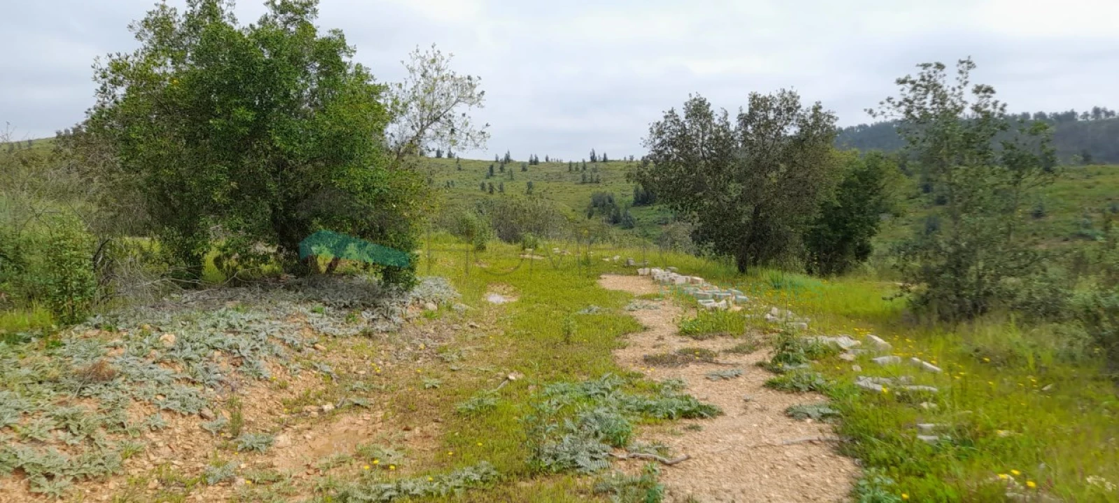 Terreno para Venda em Saboia Foto 3