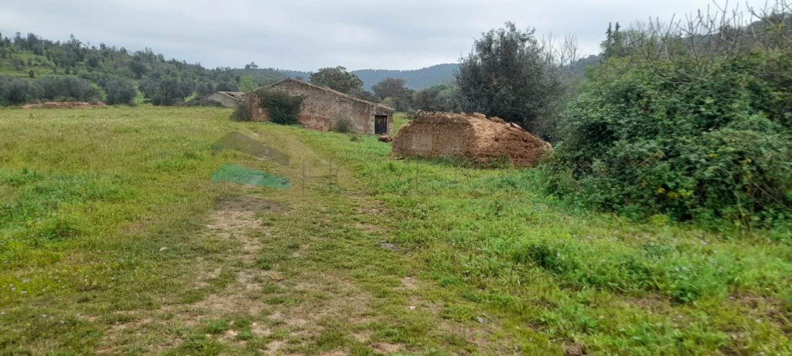 Terreno para Venda em Saboia Foto 5