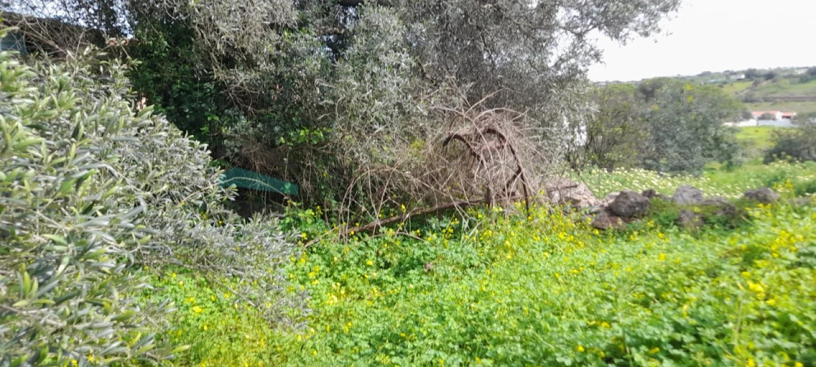 Terreno Misto para Venda em Paderne Foto 12