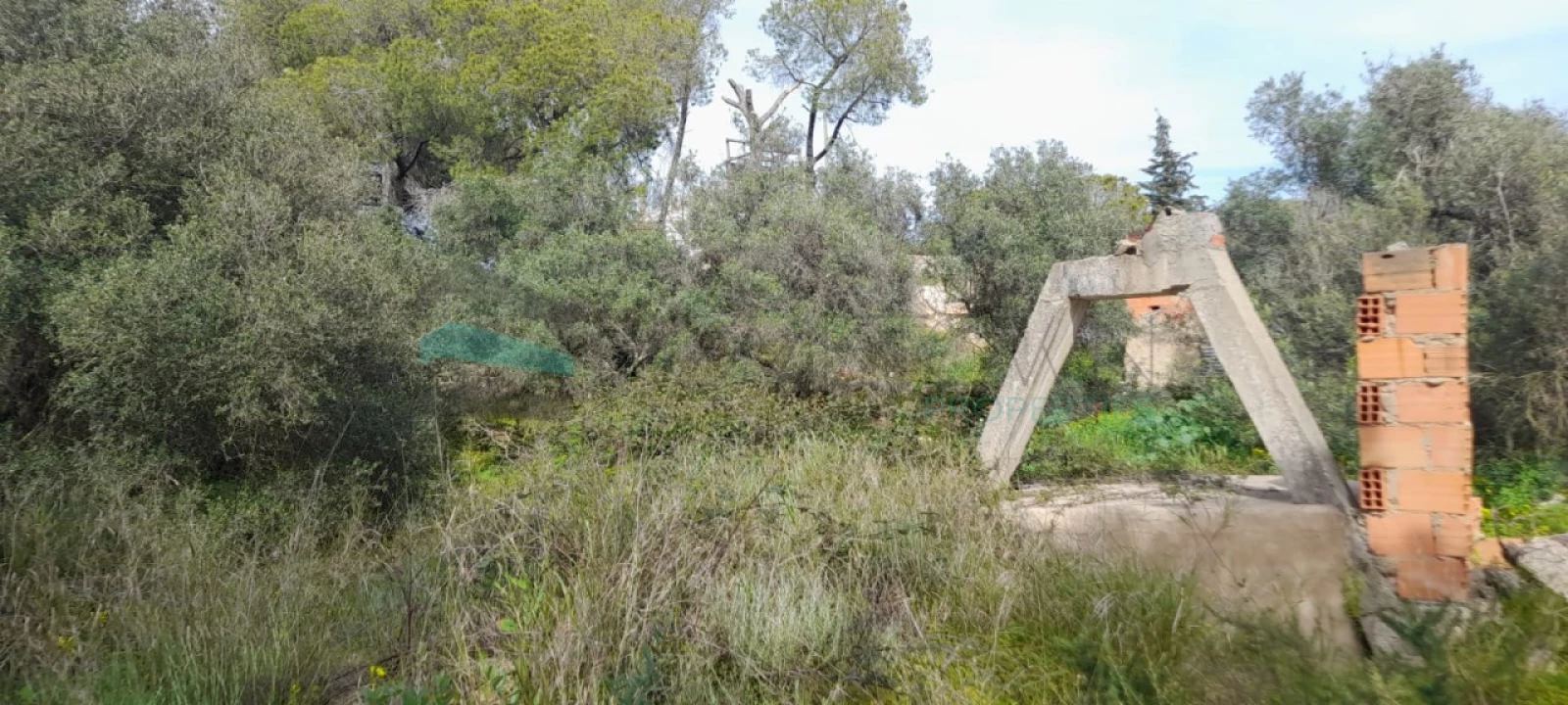 Terreno Misto para Venda em Paderne Foto 13