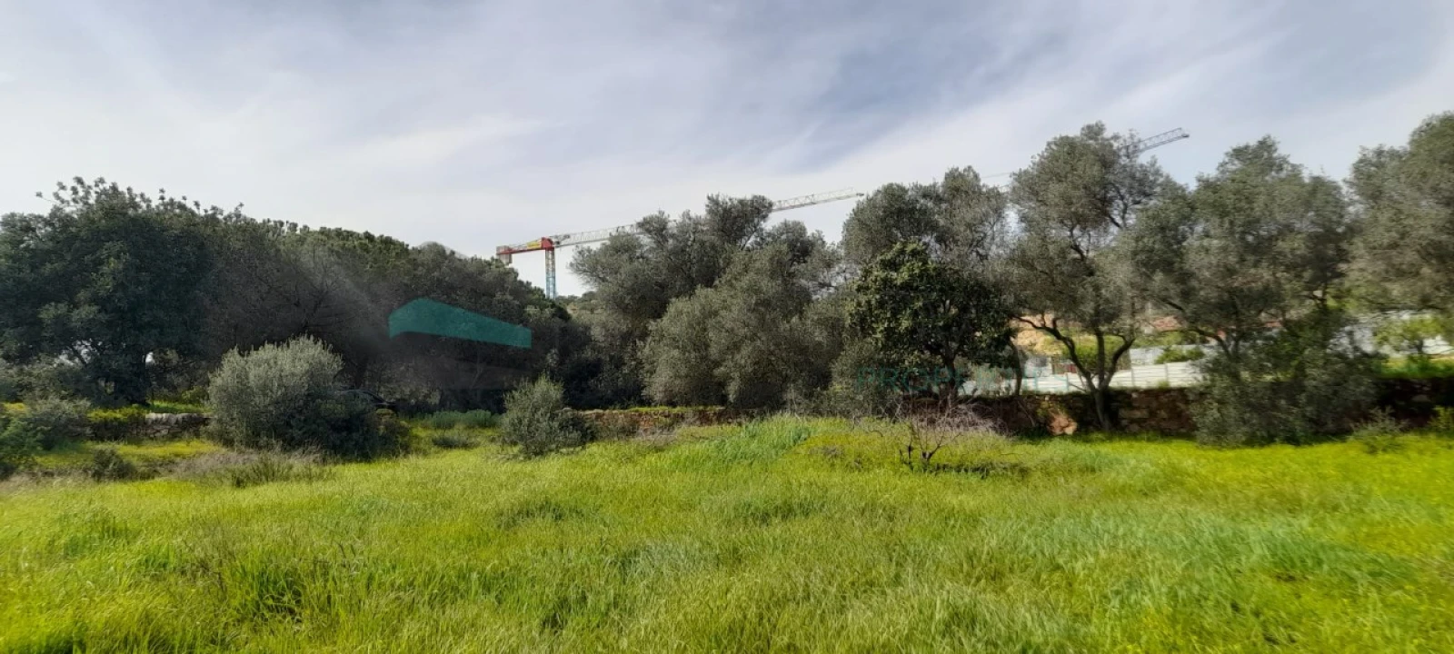 Terreno Misto para Venda em Paderne Foto 15