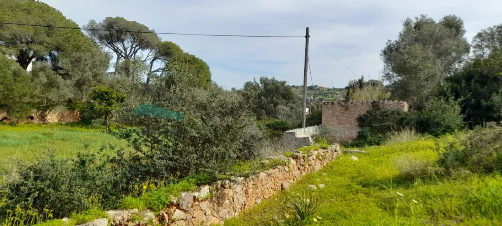 Terreno Misto para Venda em Paderne Foto 16