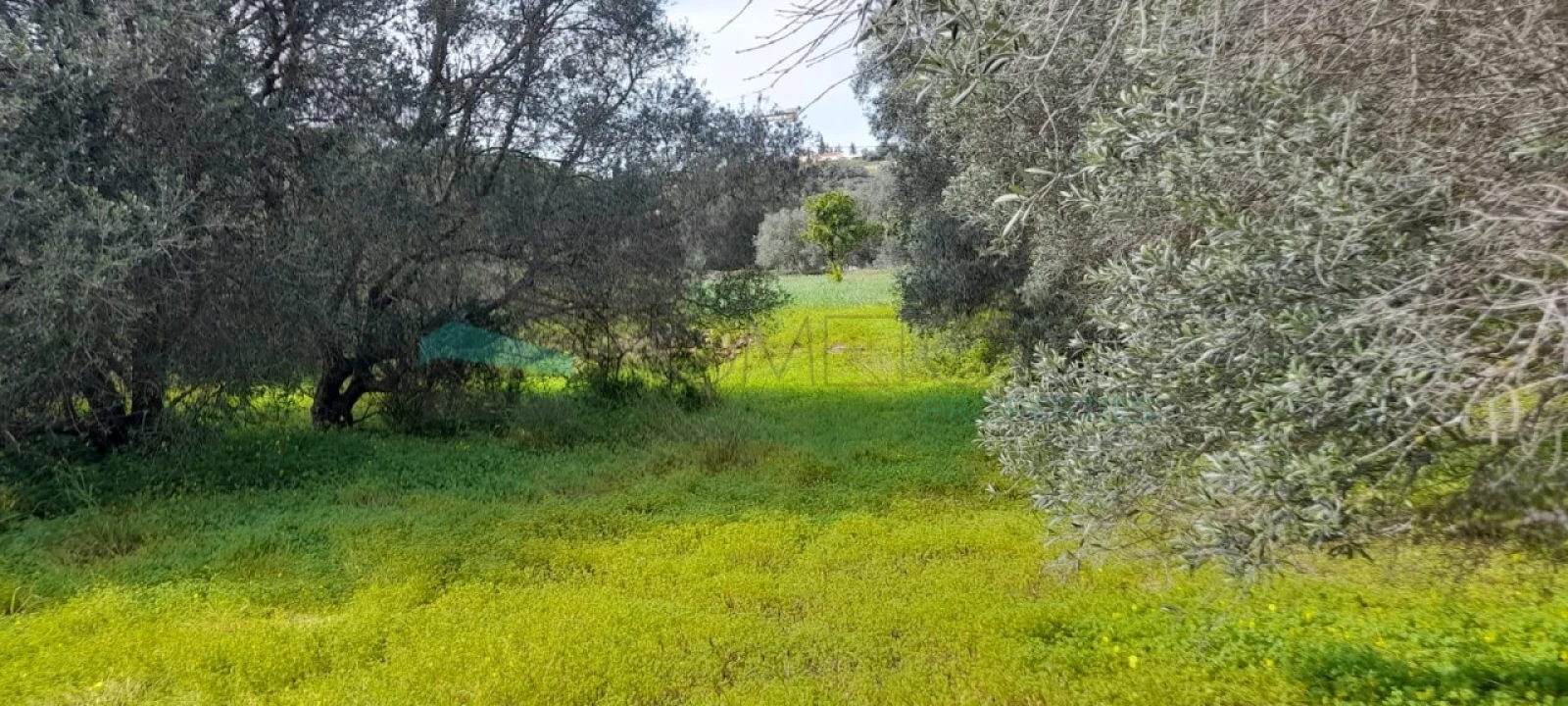 Terreno Misto para Venda em Paderne Foto 21