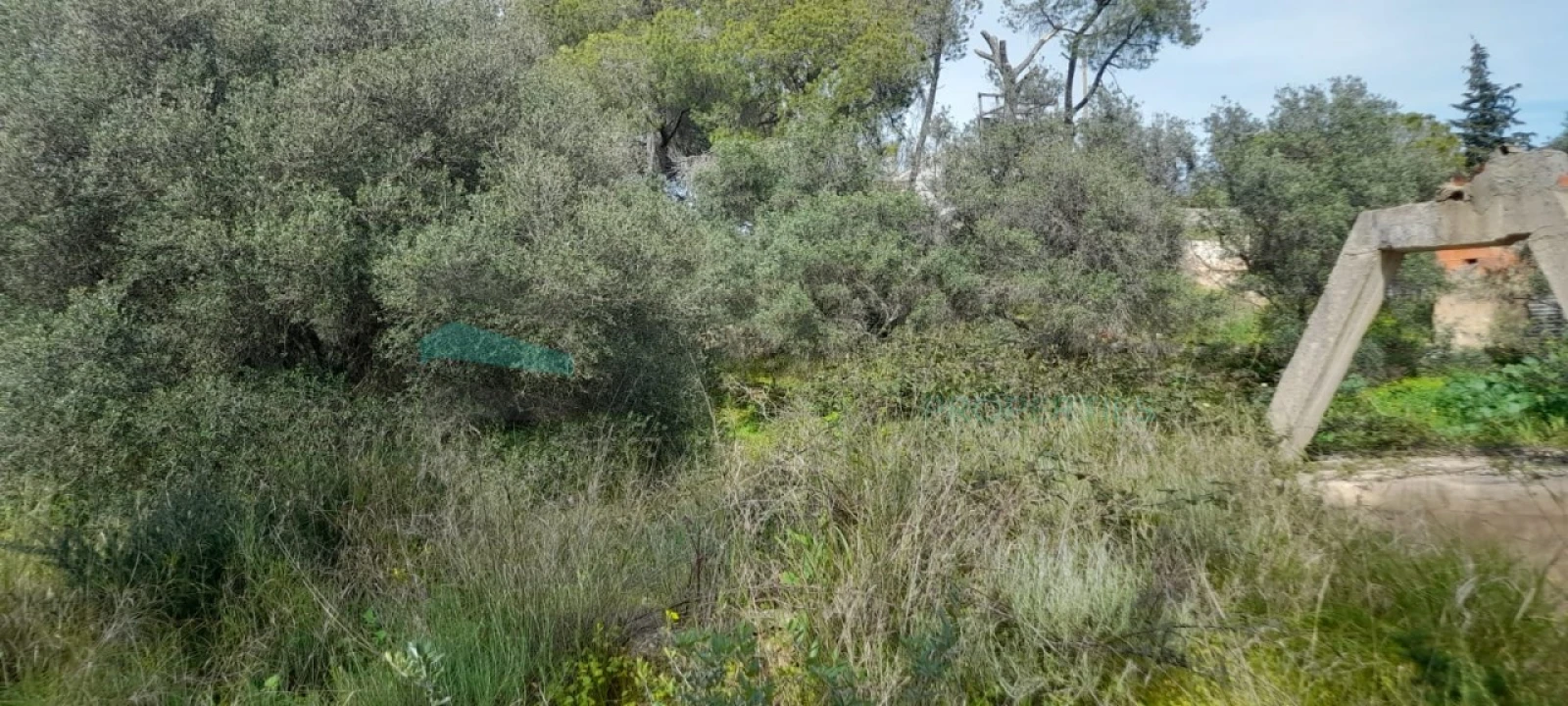Terreno Misto para Venda em Paderne Foto 23