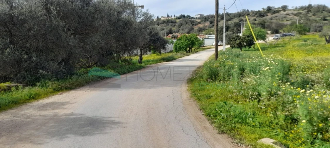 Terreno Misto para Venda em Paderne Foto 3