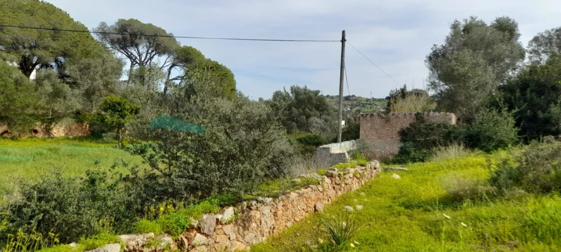 Terreno Misto para Venda em Paderne Foto 16