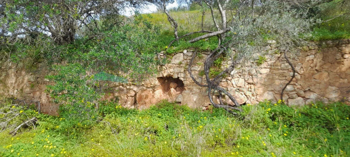 Terreno Misto para Venda em Paderne Foto 17