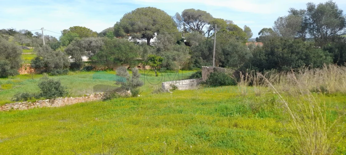 Terreno Misto para Venda em Paderne Foto 19