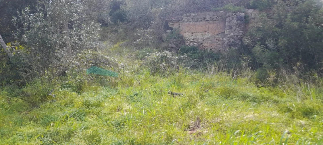 Terreno Misto para Venda em Paderne Foto 20