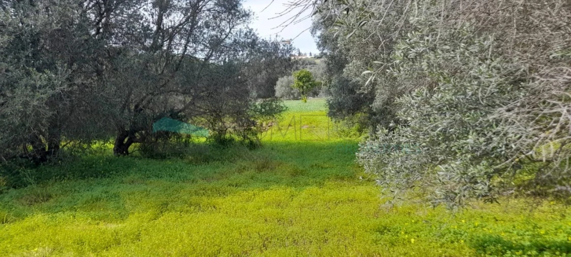 Terreno Misto para Venda em Paderne Foto 21