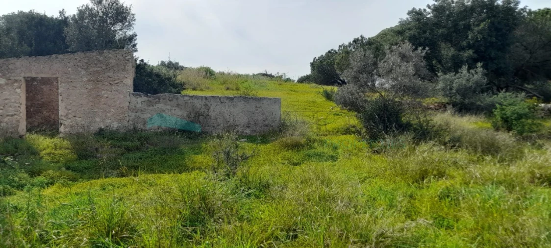 Terreno Misto para Venda em Paderne Foto 25