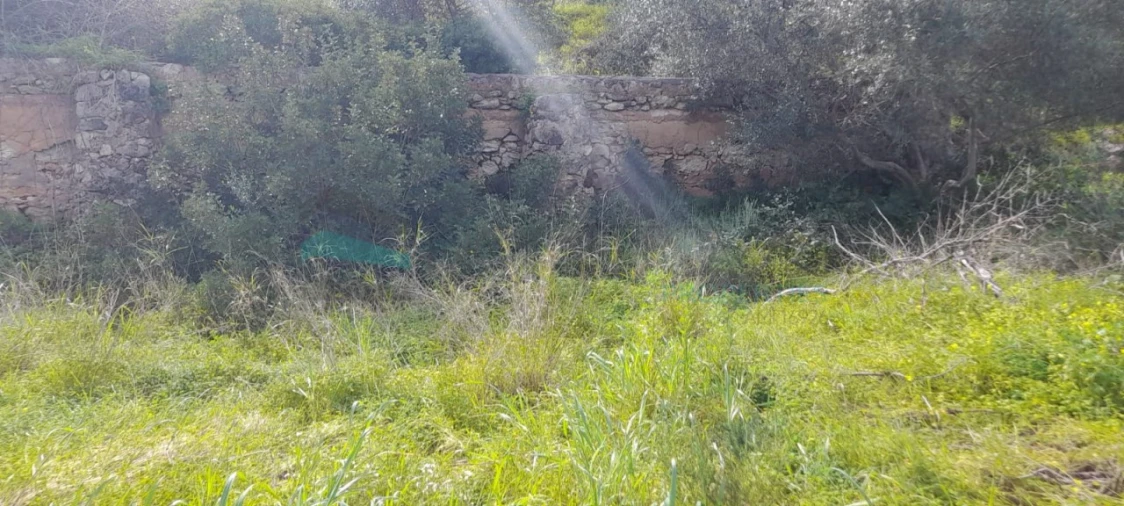 Terreno Misto para Venda em Paderne Foto 26