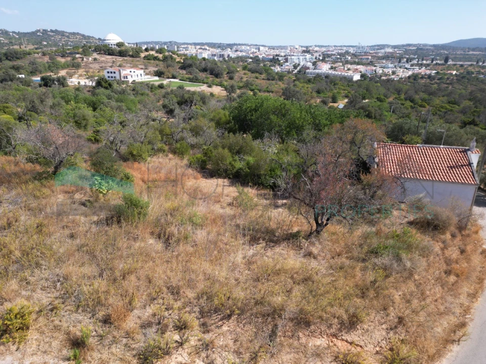 Terreno Misto para Venda em Loule (São Sebastião) Foto 4