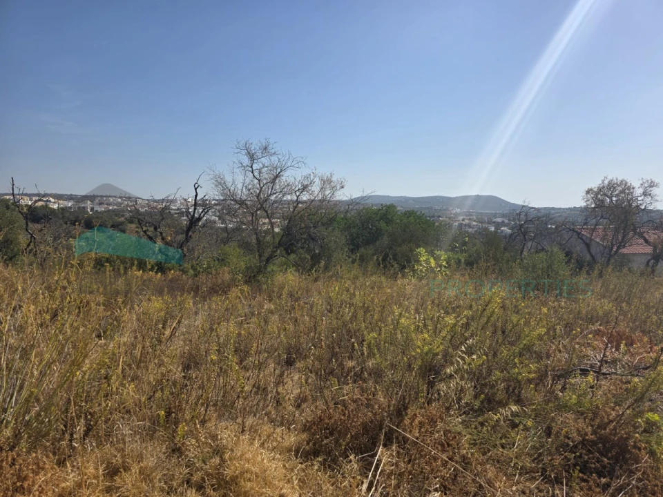 Terreno Misto para Venda em Loule (São Sebastião) Foto 3