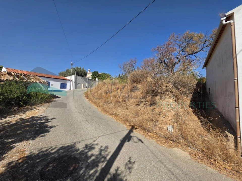 Terreno Misto para Venda em Loule (São Sebastião) Foto 8