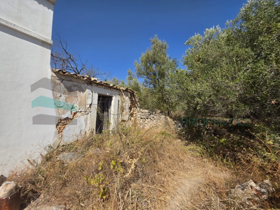Terreno Misto para Venda em Loule (São Sebastião) Foto 10