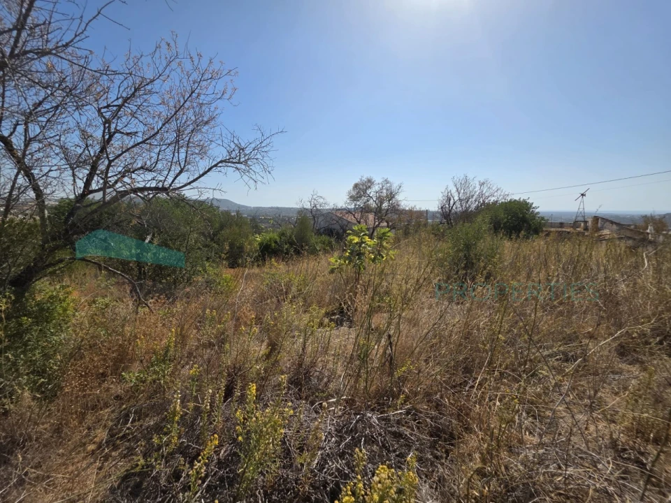 Terreno Misto para Venda em Loule (São Sebastião) Foto 13