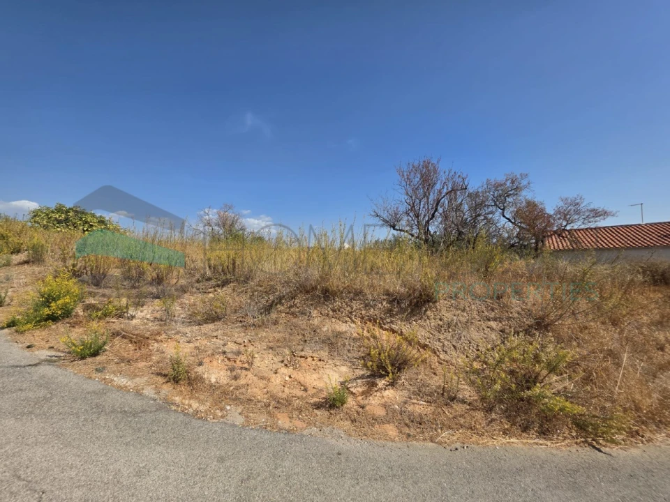 Terreno Misto para Venda em Loule (São Sebastião) Foto 15
