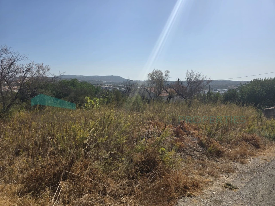Terreno Misto para Venda em Loule (São Sebastião) Foto 16