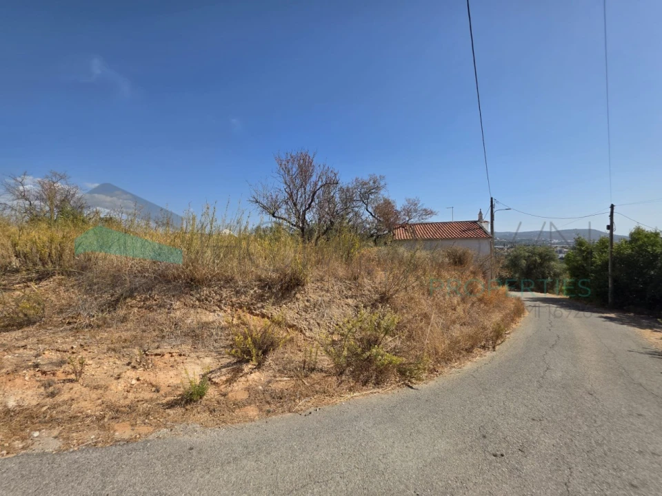 Terreno Misto para Venda em Loule (São Sebastião) Foto 17
